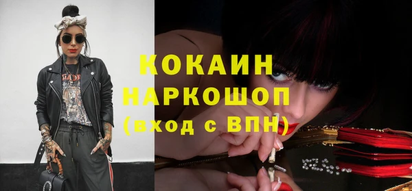 стафф Алзамай