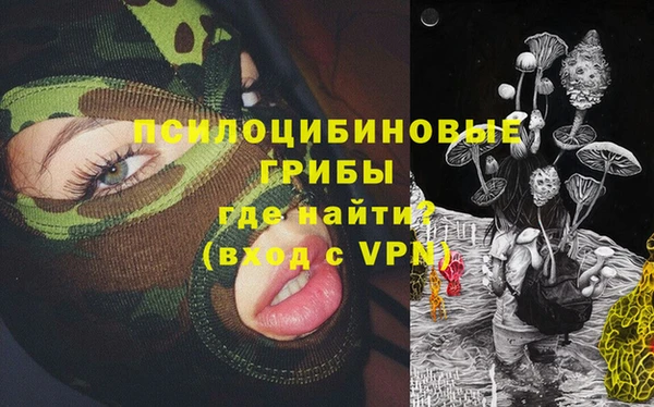 спиды Алексин