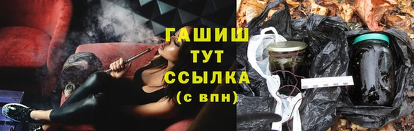 стафф Алзамай