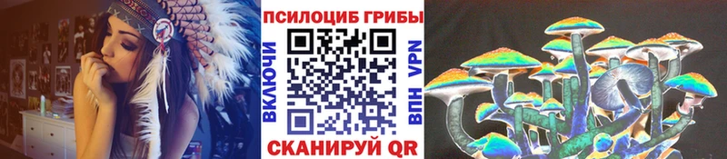 купить наркоту Пушкино Галлюциногенные грибы Psilocybine cubensis