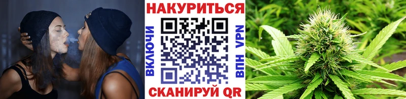 Бошки марихуана сатива  купить наркотики сайты  Пушкино 